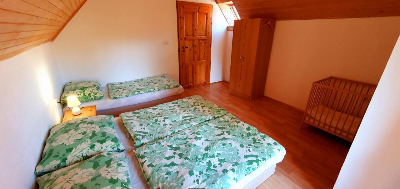 Vilka Cibulka A Chata Cesnacik Ižipovce Dış mekan fotoğraf